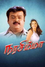 Narasimha 2001 on netflix