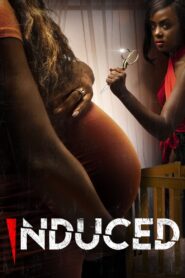 Induced 2022 on netflix