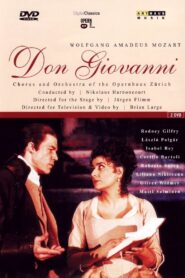 Mozart: Don Giovanni (Zurich Opera House) 2001 on netflix