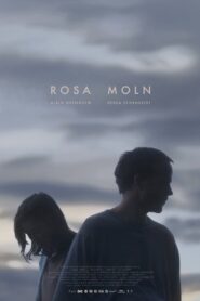The Pink Cloud Syndrome 2018 on netflix