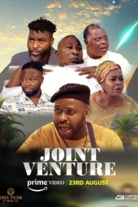 Joint Venture 2024 on netflix