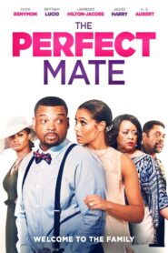 The Perfect Mate 2020 on netflix