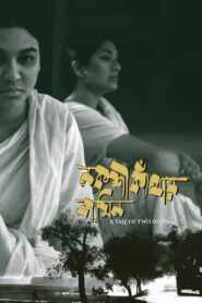 A Tale of Two Sisters 2024 on netflix