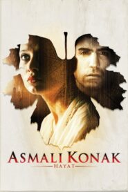 Asmalı Konak: Hayat 2003 on netflix