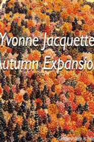 Yvonne Jacquette: Autumn Expansion 1985 on netflix