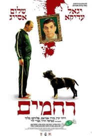 Rachamim 2007 on netflix