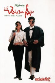 Chettu Kinda Pleader 1989 on netflix