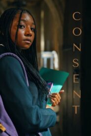 Consent 2023 on netflix
