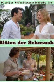 Die Blüten der Sehnsucht 2007 on netflix