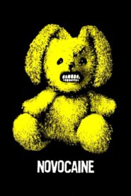Novocaine 2001 on netflix