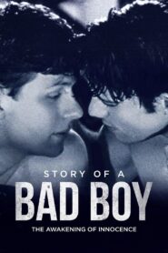 Story of a Bad Boy 2001 on netflix