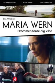 Drömmen förde dig vilse 2013 on netflix