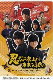 Ninjani Calling on! Fight Towards the Future 2014 on netflix