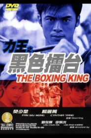 The Boxing King 2002 on netflix