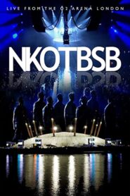 NKOTBSB: Live at the O2 Arena 2012 on netflix