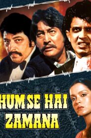 Hum Se Hai Zamana 1983 on netflix