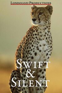 Swift and Silent 1990 on netflix