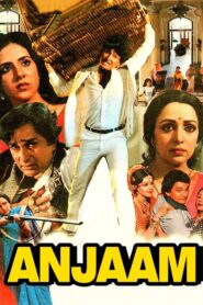 Anjaam 1987 on netflix