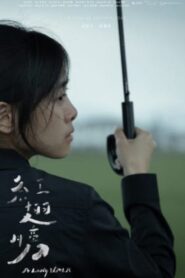 A Long Walk 2024 on netflix