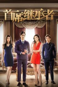 首席继承者 2018 on netflix