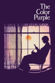 The Color Purple 1985 on netflix