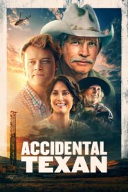 Accidental Texan 2024 on netflix