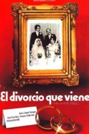 El divorcio que viene 1980 on netflix