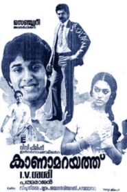 Kanamarayathu 1984 on netflix