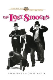 The Lost Stooges 1990 on netflix