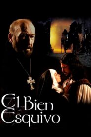 El bien esquivo 2001 on netflix