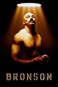 Bronson 2009 on netflix