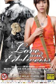 Love and Edelweiss 2010 on netflix