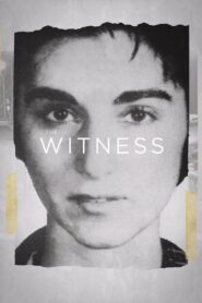 The Witness 2015 on netflix