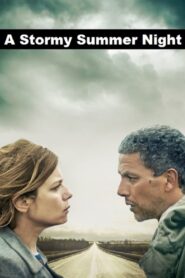 A Stormy Summer Night 2015 on netflix
