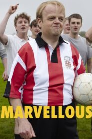 Marvellous 2014 on netflix