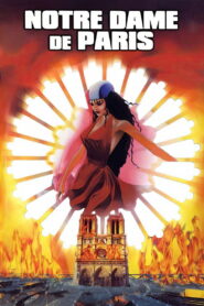 Notre Dame de Paris 1999 on netflix