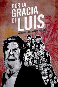 Por la gracia de Luis 2009 on netflix