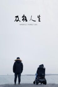 Imperfect Perfect Life 2021 on netflix