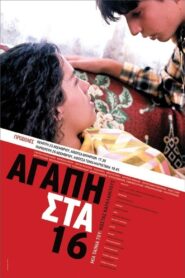Love at 16 2004 on netflix