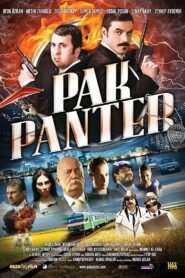 Pak Panter 2010 on netflix