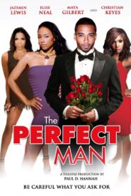 The Perfect Man 2011 on netflix