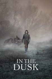 In the Dusk 2019 on netflix