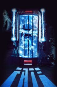 Fate 2017 on netflix