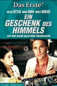 Ein Geschenk des Himmels 2005 on netflix