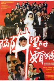 陷阱里的婚姻 1993 on netflix