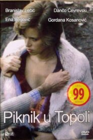 Picnic in Topola 1981 on netflix
