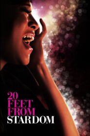 20 Feet from Stardom 2013 on netflix