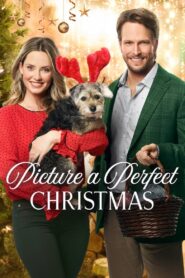 Picture a Perfect Christmas 2019 on netflix