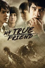 My True Friend 2012 on netflix