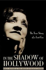 In the Shadow of Hollywood: Race Movies and the Birth of Black Cinema 2007 on netflix